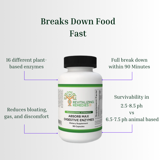 Absorb Max Digestive Enzymes